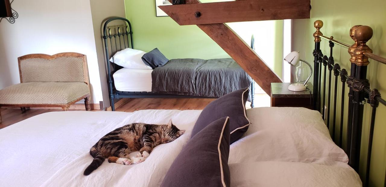 B&B La Ferme De Loubens Zewnętrze zdjęcie