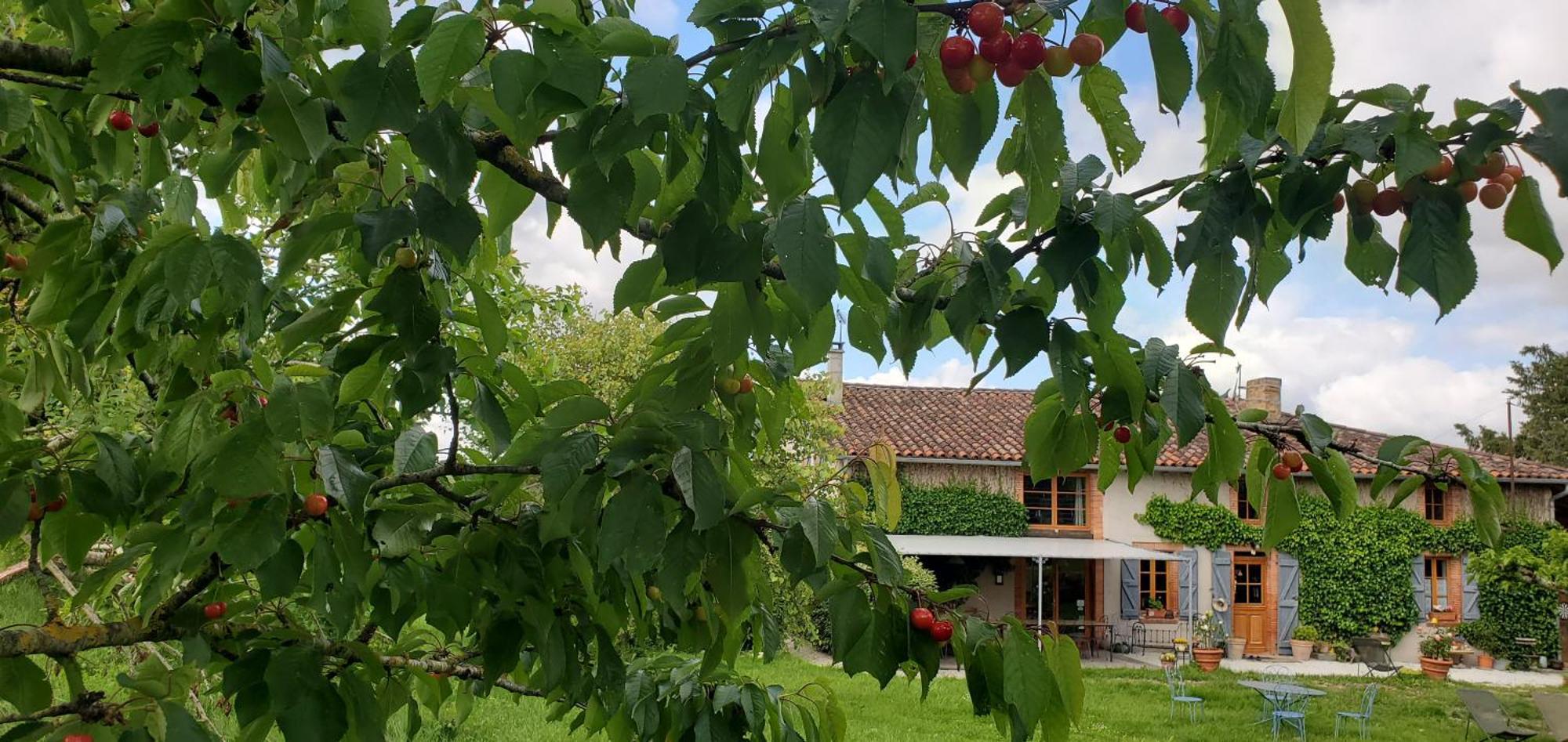 B&B La Ferme De Loubens Zewnętrze zdjęcie